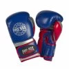 PRO BOX JUNIOR CHAMP SPAR VELCRO Blue/red/silver