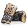 RIVAL RS11V EVOLUTION SPARRING VELCRO Gold/black