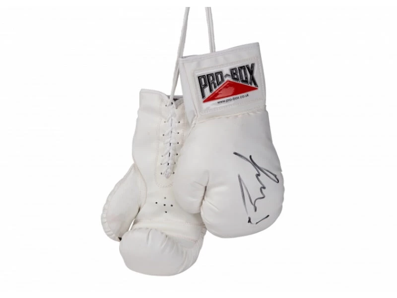 PRO BOX AUTOGRAPH GLOVES 1 PRO BOX AUTOGRAPH GLOVES